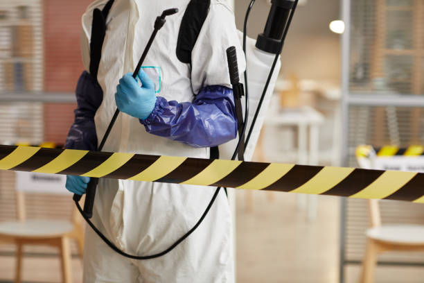 Professional Sewage Cleanup technician working in Washington, NH
